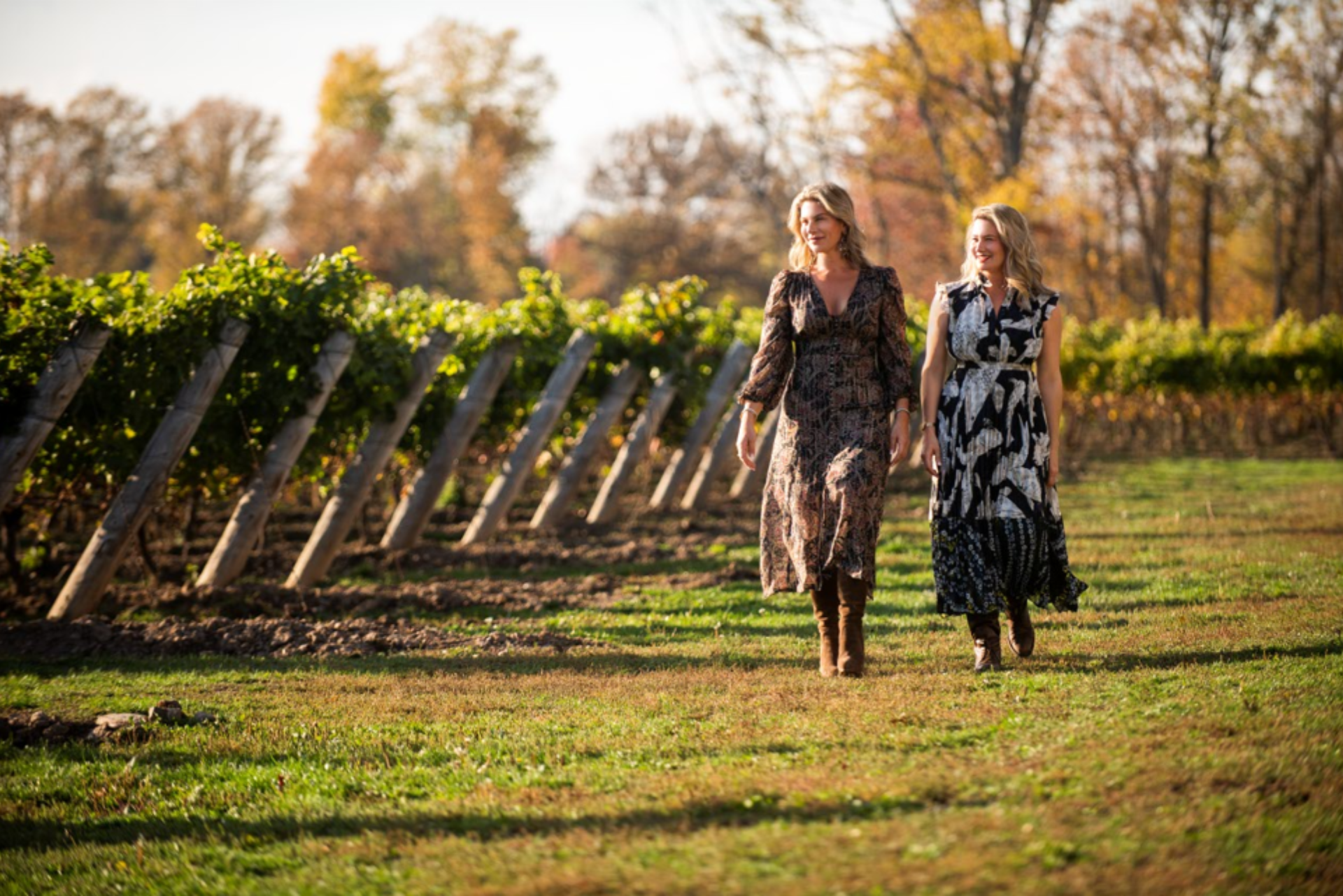 Wineries & Breweries 