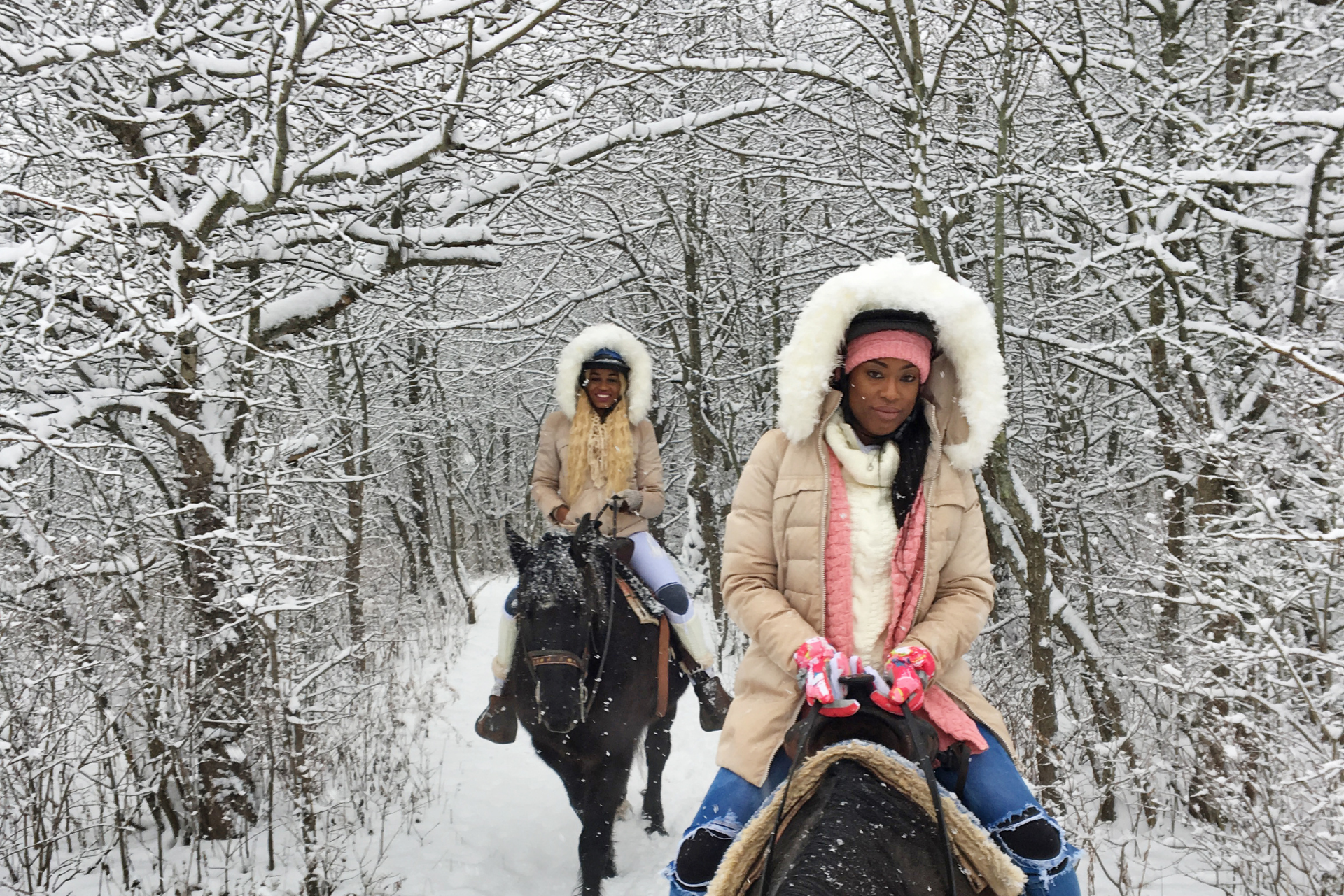 Niagara Riding Stables